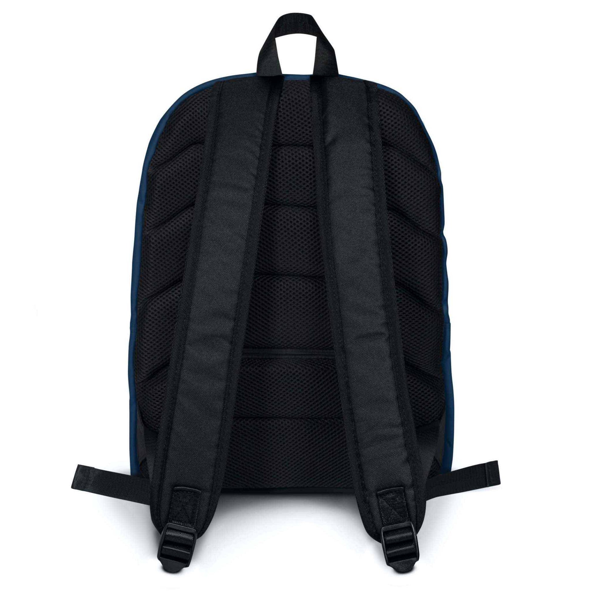 Back view of backpack, showing the padded black straps.