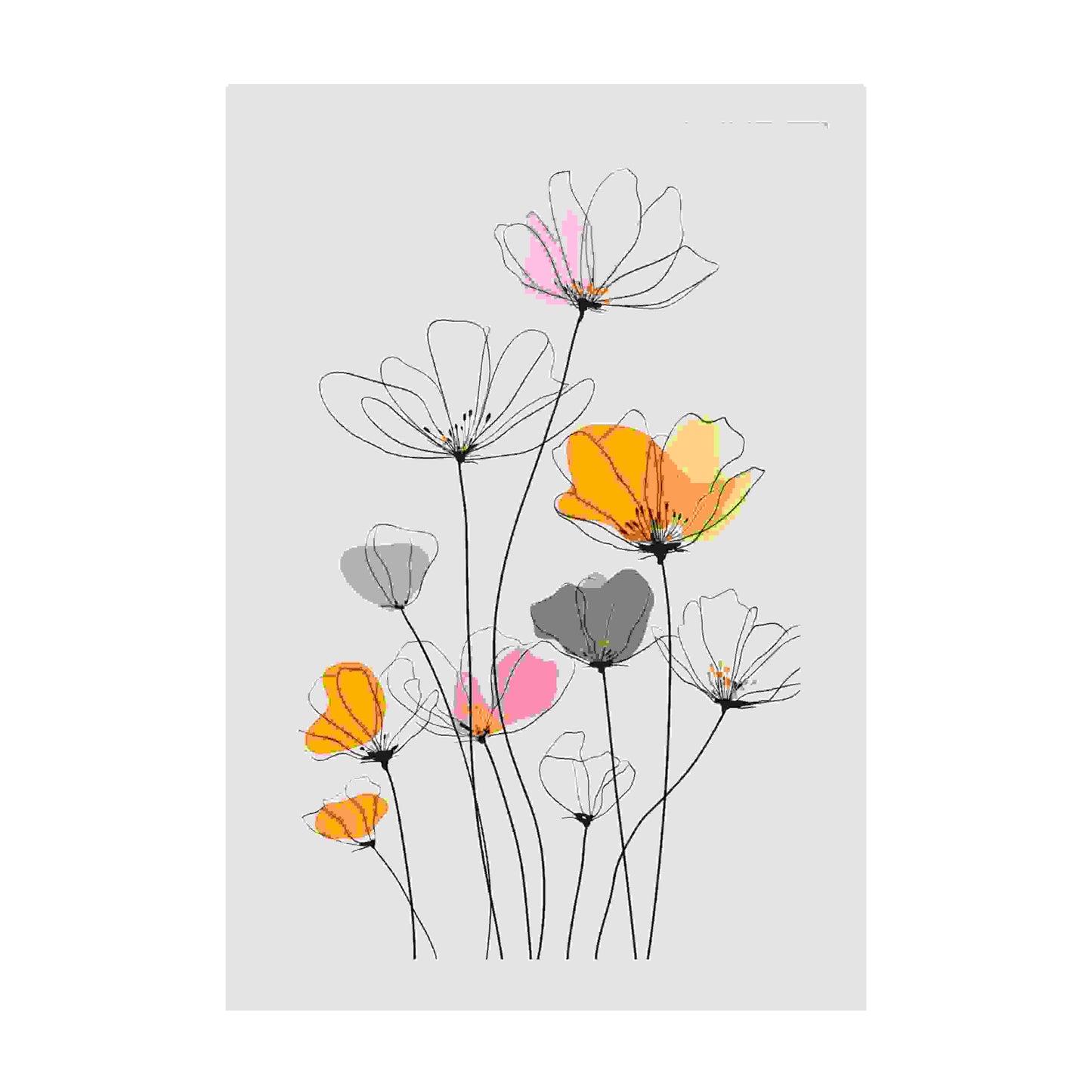 A stunning minimalist Line drawing flowers art print. Delicate black lines meet soft, abstract watercolors in peach, orange. White frame. Dimension 12x18In portrait. White background.